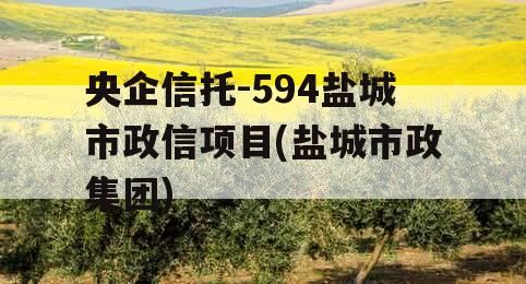 央企信托-594盐城市政信项目(盐城市政集团)