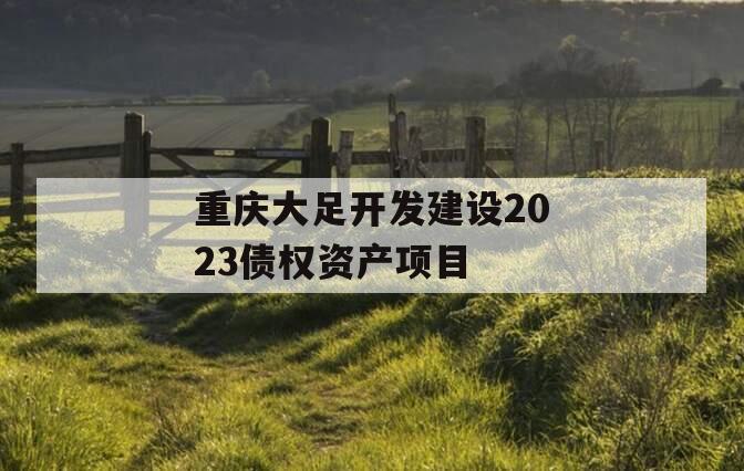 重庆大足开发建设2023债权资产项目