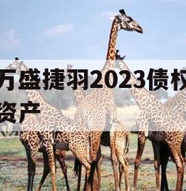 万盛捷羽2023债权资产