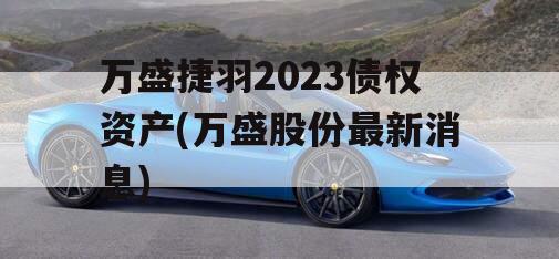 万盛捷羽2023债权资产(万盛股份最新消息)