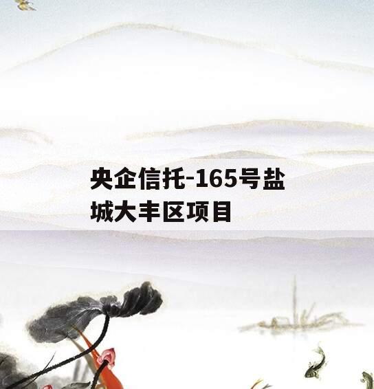 央企信托-165号盐城大丰区项目