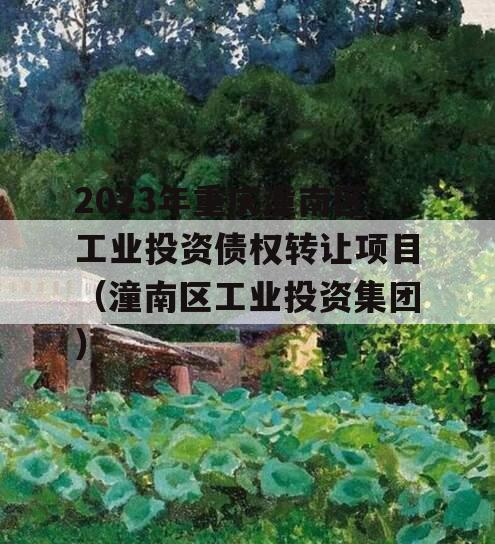 2023年重庆潼南区工业投资债权转让项目（潼南区工业投资集团）