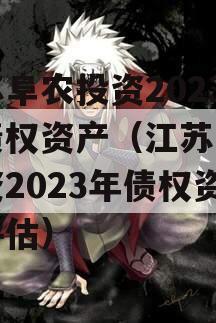 江苏阜农投资2023年债权资产（江苏阜农投资2023年债权资产评估）