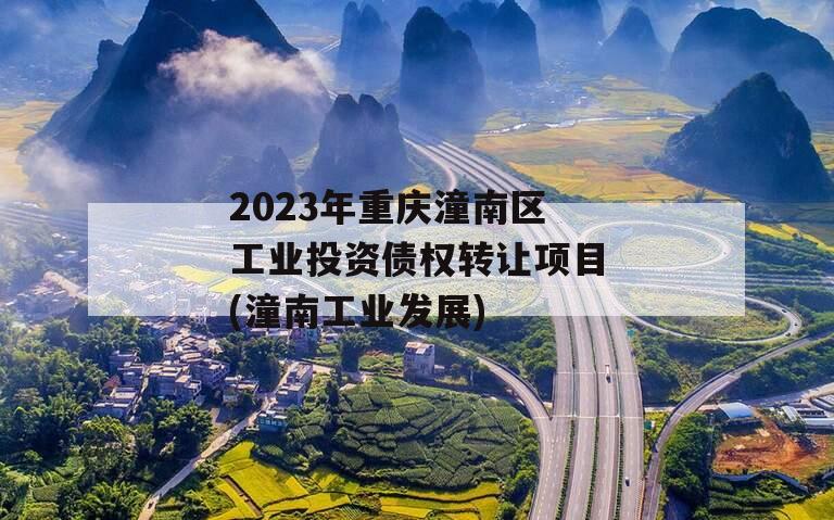 2023年重庆潼南区工业投资债权转让项目(潼南工业发展)