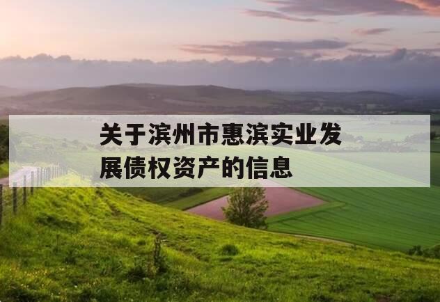 关于滨州市惠滨实业发展债权资产的信息