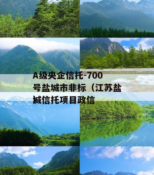 A级央企信托-700号盐城市非标（江苏盐城信托项目政信
）
