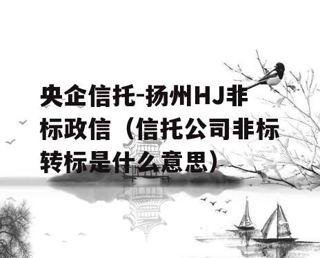 央企信托-扬州HJ非标政信（信托公司非标转标是什么意思）