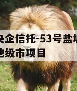 央企信托-53号盐城地级市项目
