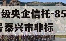 A级央企信托-859号泰兴市非标