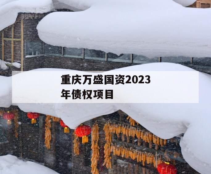 重庆万盛国资2023年债权项目