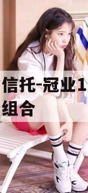 大业信托-冠业1号城投债组合