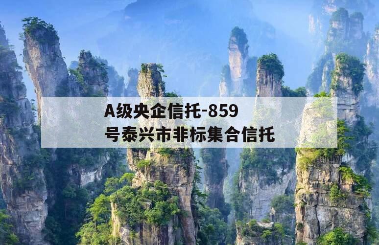 A级央企信托-859号泰兴市非标集合信托