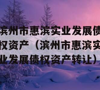 滨州市惠滨实业发展债权资产（滨州市惠滨实业发展债权资产转让）
