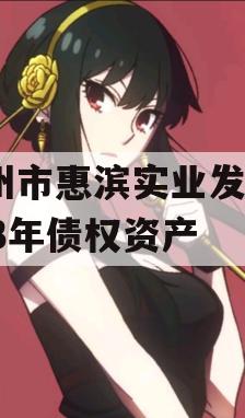 滨州市惠滨实业发展2023年债权资产