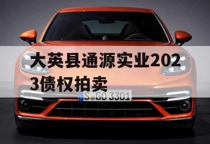 大英县通源实业2023债权拍卖