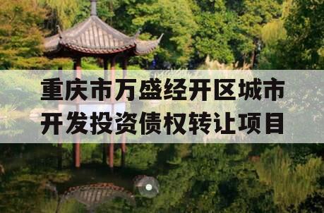 重庆市万盛经开区城市开发投资债权转让项目