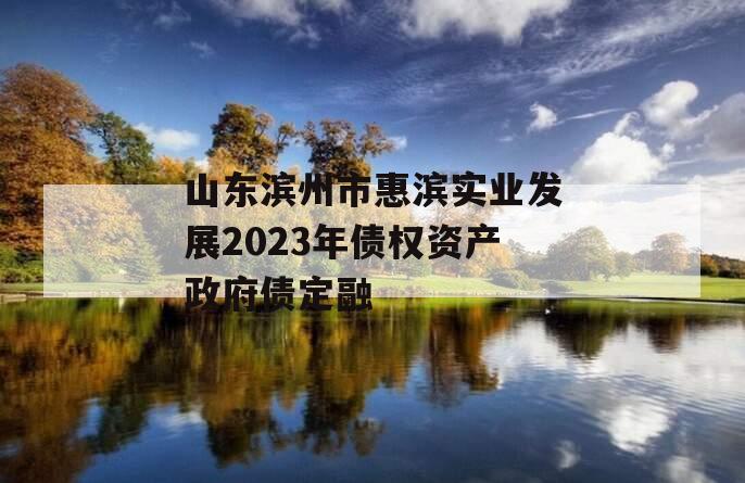 山东滨州市惠滨实业发展2023年债权资产政府债定融