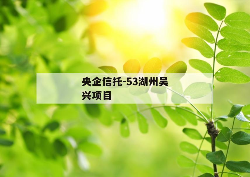 央企信托-53湖州吴兴项目
