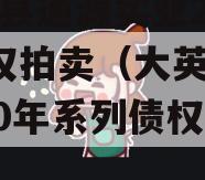 大英县通源实业2023债权拍卖（大英通源2020年系列债权资产）