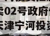 天津宁河投资控股的债权拍卖02号政府债定融（天津宁河投资控股有限公司官网）