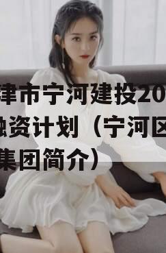 天津市宁河建投2023融资计划（宁河区宁投集团简介）