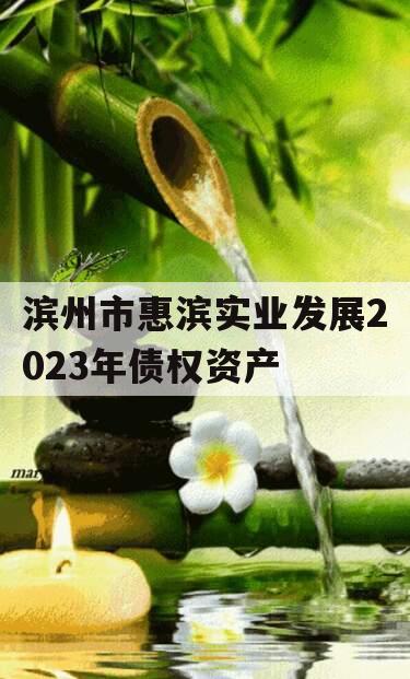 滨州市惠滨实业发展2023年债权资产