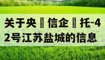 关于央‮信企‬托-42号江苏盐城的信息