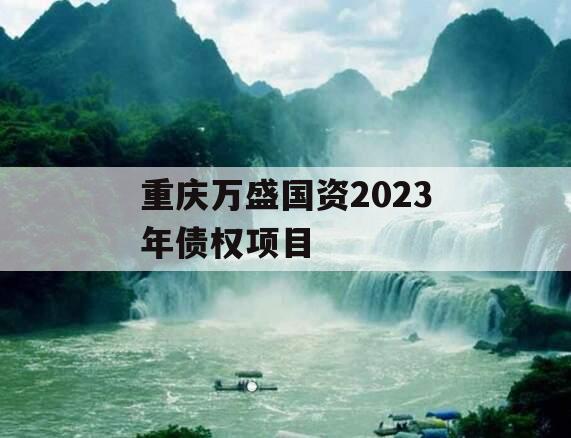 重庆万盛国资2023年债权项目