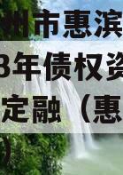 山东滨州市惠滨实业发展2023年债权资产政府债定融（惠民县滨惠置业）