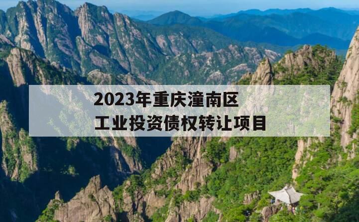 2023年重庆潼南区工业投资债权转让项目