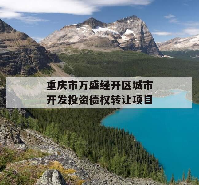 重庆市万盛经开区城市开发投资债权转让项目