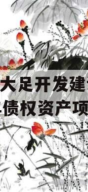 重庆大足开发建设2023年债权资产项目