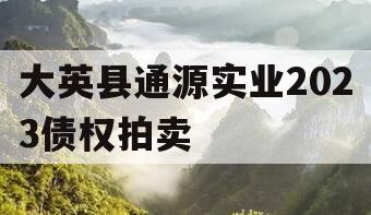 大英县通源实业2023债权拍卖