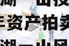 简阳两湖一山投资债权2023年资产拍卖(四川两湖一山风景区)
