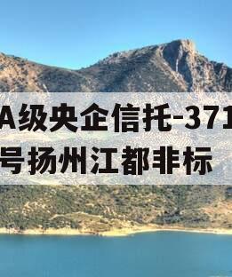 A级央企信托-371号扬州江都非标