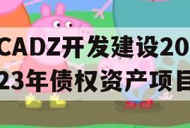 CADZ开发建设2023年债权资产项目