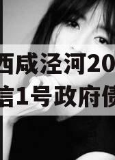 西安西咸泾河2023年政信1号政府债定融