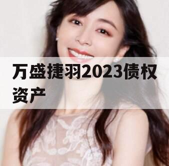 万盛捷羽2023债权资产