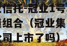 大业信托-冠业1号城投债组合（冠业集团有限公司上市了吗）