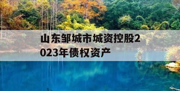 山东邹城市城资控股2023年债权资产