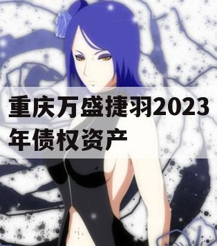 重庆万盛捷羽2023年债权资产