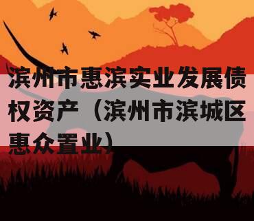 滨州市惠滨实业发展债权资产（滨州市滨城区惠众置业）