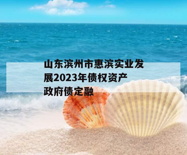 山东滨州市惠滨实业发展2023年债权资产政府债定融