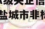 包含A级央企信托-700号盐城市非标的词条