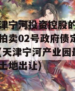 天津宁河投资控股的债权拍卖02号政府债定融(天津宁河产业园最新土地出让)