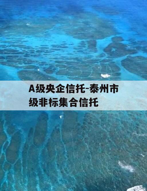 A级央企信托-泰州市级非标集合信托
