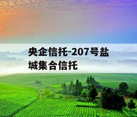 央企信托-207号盐城集合信托