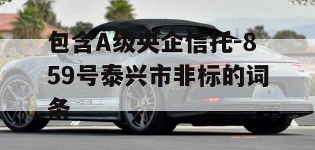 包含A级央企信托-859号泰兴市非标的词条