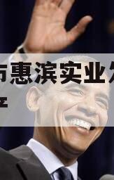 滨州市惠滨实业发展债权资产