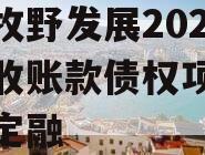 新乡牧野发展2023年应收账款债权项目政府债定融